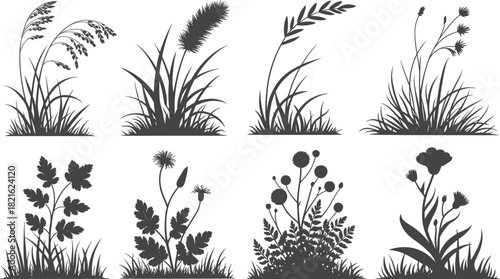 Detailed vector set of natural grass tufts and wild floral plant silhouettes, perfect for outdoor nature graphics.