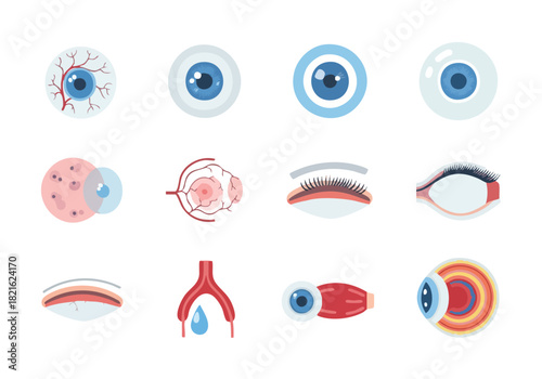 Eye Anatomy Vector Collection Detailed Visuals of the Human Eye
