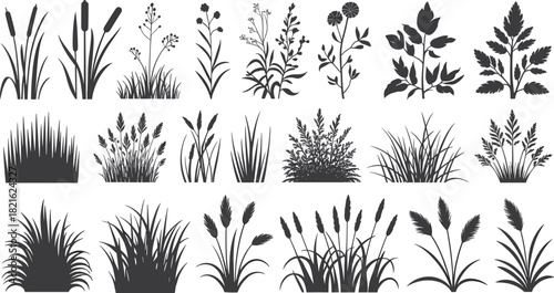 Diverse silhouettes of grass, reeds, bushes, and wild plants for decorative borders and natural design elements vector.