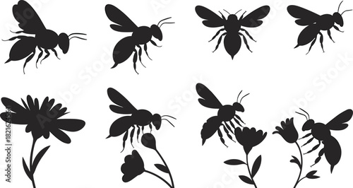 Flying honey bees and wildflowers vector silhouette set, black insects pollinating flowers, nature illustration.