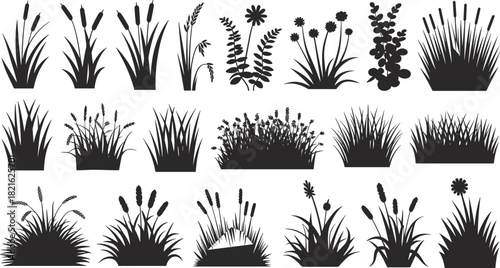 Large vector set of diverse grass, reeds, and wild plant silhouettes for natural borders, wetland, and meadow scenes.