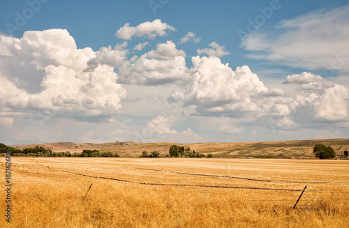 Puffy Cumulus Clouds Over the Golden Plains Near Pocatello, Idaho