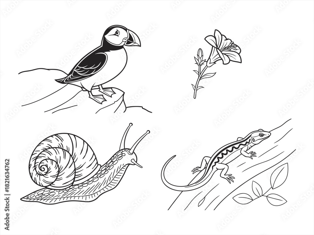 Fototapeta premium coloring page line art the bird black vector bundle