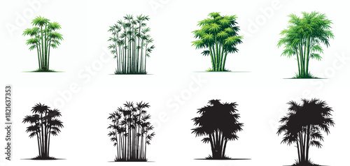 Vector and simple silhouette of bamboo tree on white background