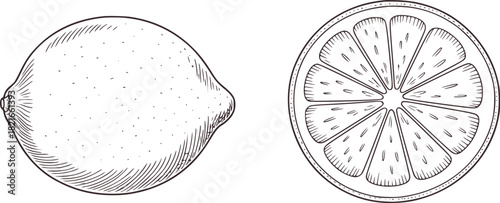 Black and white line drawing of a whole lemon and a lemon slice