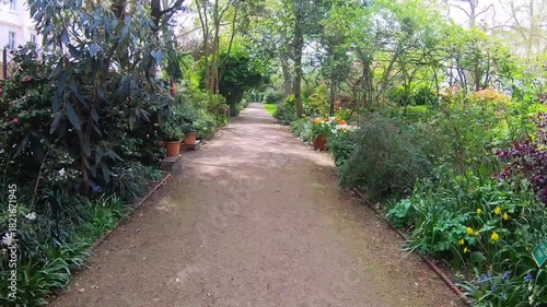 Unpaved path winding through a lush green urban park