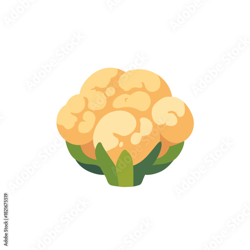 White cauliflower vegetable head with leaves, isolated flat style vector illustration