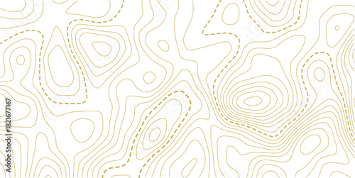 Vector illustration.Vector contour topographic map background. Topography and geography map grid abstract backdrop. Business concept. 