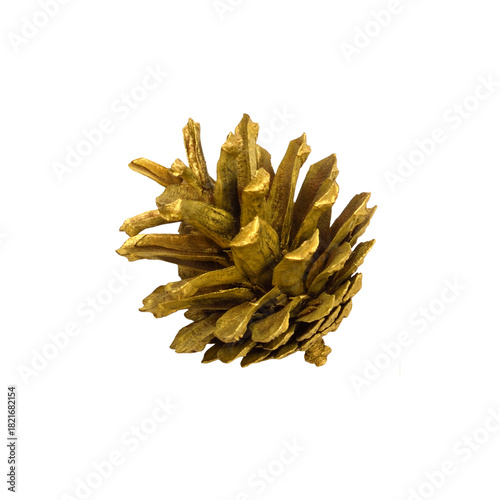 Pine cone painted in gold c...
