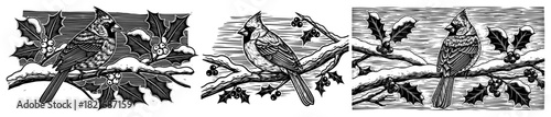 Northern cardinal bird sitting on holly branch with berries and snow vector black and white woodcut engraving style illustration