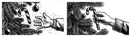 Hand reaching for a striped candy cane hanging on a Christmas tree branch vector illustration in retro black and white engraving style