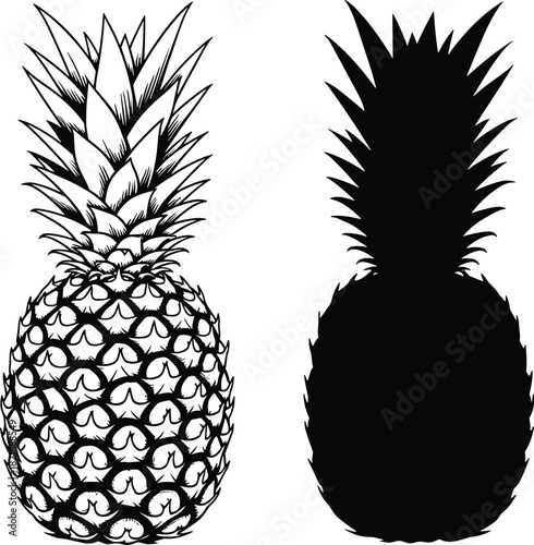 Black line art outline and solid silhouette vector illustrations of a whole pineapple, representing tropical fruit, healthy food, summer, and exotic food packaging designs.