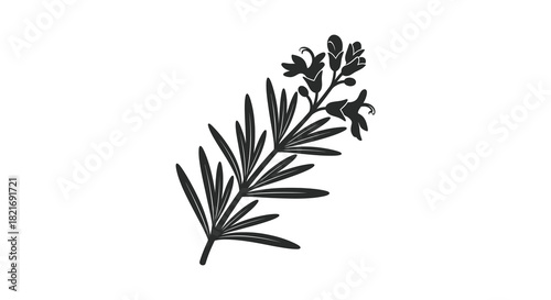 Delicate floral arrangement of leaves and blossoms artistic black silhouette