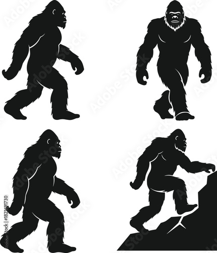 Black silhouette vector illustration set of walking, aggressive, and climbing mythical ape-like creature, Bigfoot or Sasquatch, showing different poses and movements in high detail.