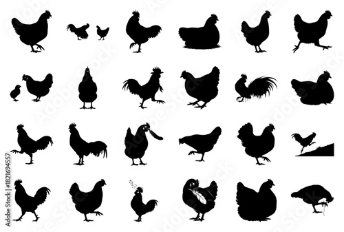 Assortment of Chicken and Rooster Silhouettes with Actions Keywords: chicken, rooster, hen