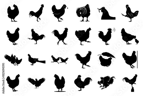 Collection of Chicken Silhouettes in Various Poses Keywords: chicken, hen, rooster, silhouette
