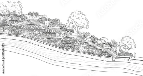 Landscape architect design showing terraced garden steps