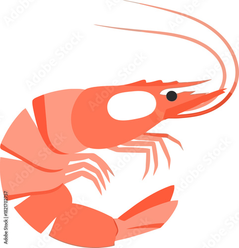 Elegant depiction of a shrimp on a solid black background, creating a captivating visual