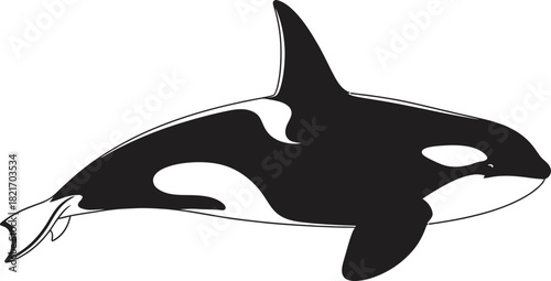Monochrome depiction of a killer whale in a minimalist black and white vector style