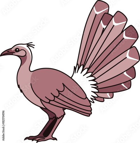 Stylized avian illustration with elaborate tail plumage against a contrasting backdrop elegant