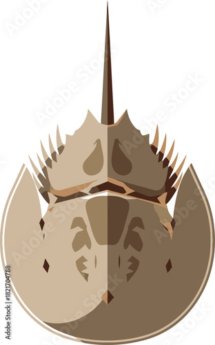 Stylized horseshoe crab illustration conveying ancient marine life and simplistic design principles