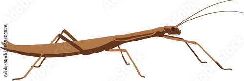 Stylized illustration of a stick insect against a stark black backdrop providing a strong visual