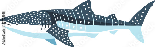 Whale shark vector illustration with detailed pattern and black background