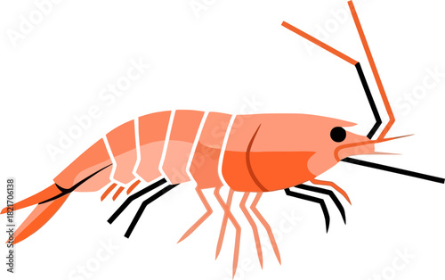 A simplified illustration of a shrimp rendered in a cartoonish flat style against a dark backdrop