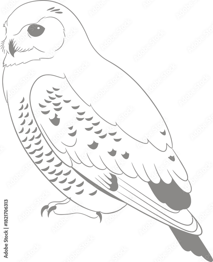 Fototapeta premium Abstract owl vector illustration displaying a nocturnal bird in minimalist design for art projects