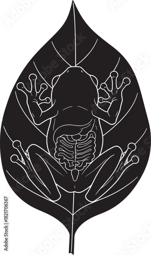 Black and White Illustration of a Frog with Visible Internal Organs on a Leaf Design