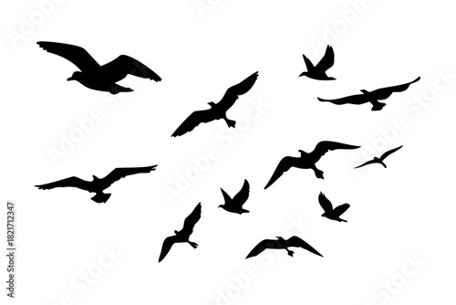 Flock of birds in flight on white background flying