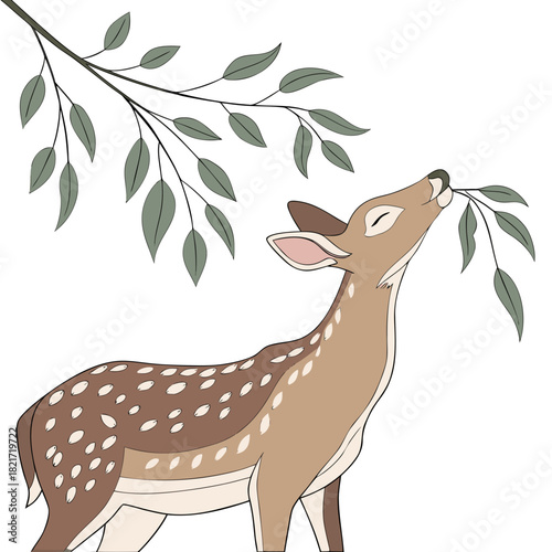 Charming illustration of a spotted fawn gently nibbling leaves from a tree branch against a white background