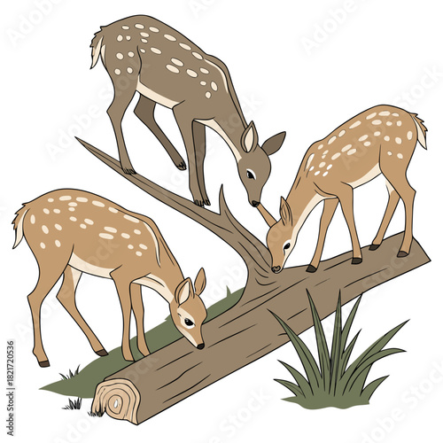 Three adorable spotted fawns exploring a fallen log in a grassy woodland setting