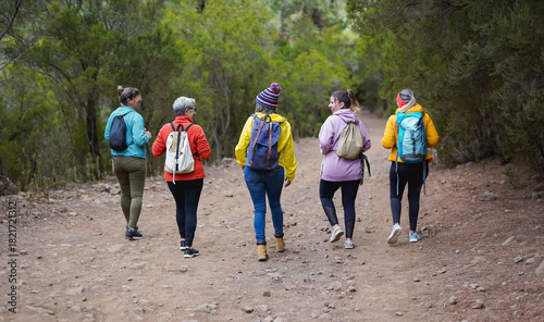 Slika na platnu Back view of multi generaitonal women hiking together during fall season - Sport