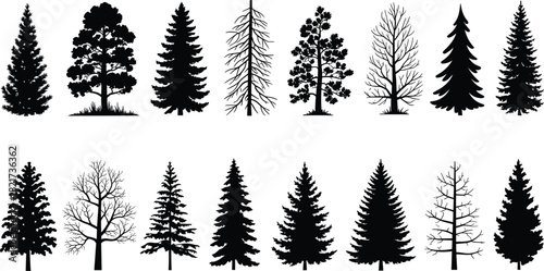 Large collection of assorted tree silhouettes, including deciduous and coniferous species, black vector icons for forest, nature, and holiday designs,