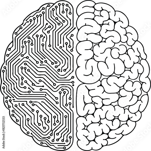 anatomy, brain, science, human, mind, intelligence, vector, head, medical, brains, illustration, neurology, medicine, think, body, cerebral, design, organ, drawing, pattern, symbol, icon, cerebellum, 