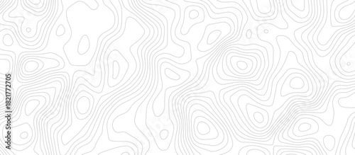 topographic seamless pattern with lines. abstract pattern with swirls. white wave paper curved reliefs background. geographic mountain relief. topographic contour lines vector background.