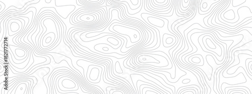 topographic seamless pattern with lines. abstract pattern with swirls. white wave paper curved reliefs background. geographic mountain relief. topographic contour lines vector background.
