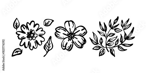 Hand Drawn Ink Flowers and Leaves leaf botanical