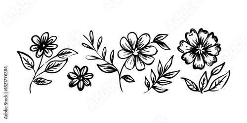 Hand Drawn Ink Leaf and Abstract Sparkle Elements sketch