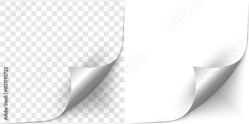 Curled page corner isolated on transparent and white background. Blank curve paper edge, bent sheet, note angle with realistic shadow. Vector rolled up stickers, peel banners