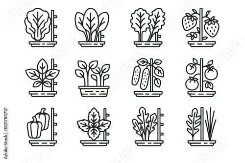 Vertical vector spinach icons arugula kale tomatoes farming chives cucumbers basil icon