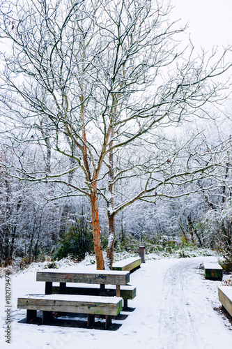 Snowy Picnic Area with Benches in Winter Park