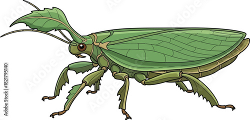 Green leaf insect vector illustration realistic praying mantis camouflage art