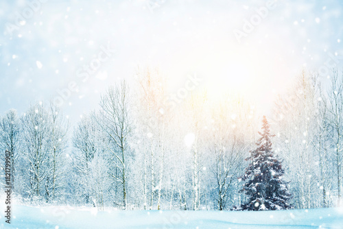 Christmas. Winter landscape with snow-covered trees. Forest in cold weather.