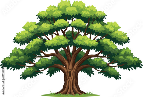 Beautiful large green tree illustration with detailed branches and foliage, natural landscape element, eco friendly design perfect for outdoor scenery artwork