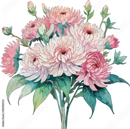 handdrawn manga cluster of Chrysanthemum with mixed blooms and leaves