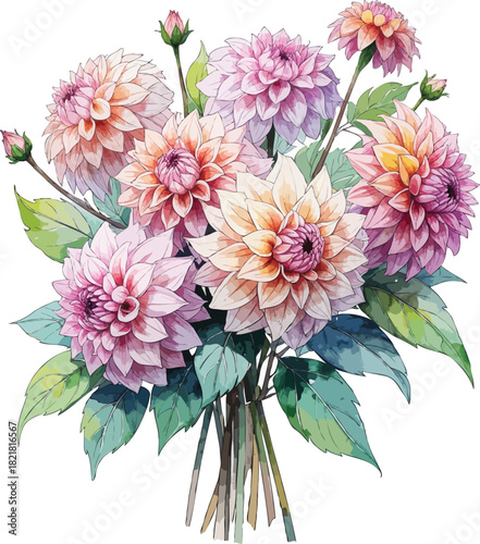 handdrawn watercolor cluster of dahlias with mixed blooms and leaves
