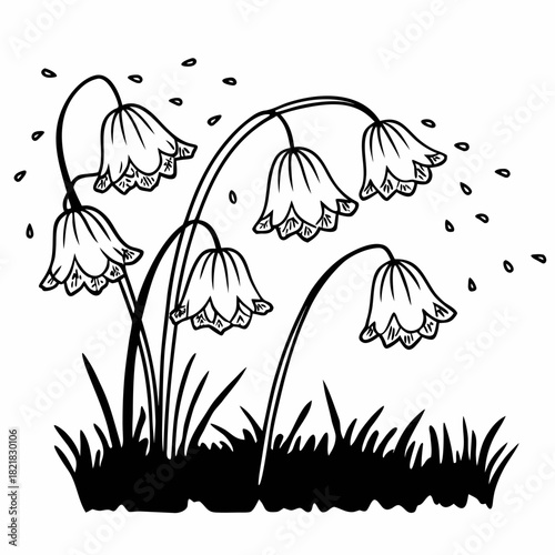 Delicate Bluebell Flowers in a Black and White Illustration.
