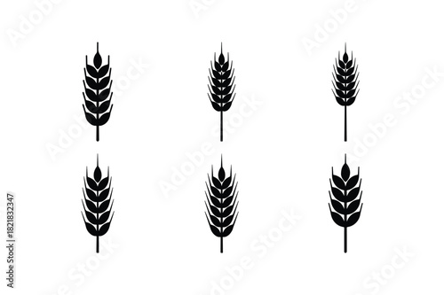 Traditional Arrow Fletching Designs Collection